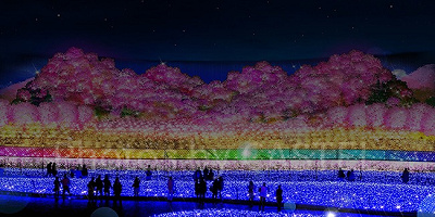 過去のイルミネーション