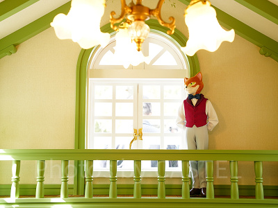 猫の事務所の中には…？