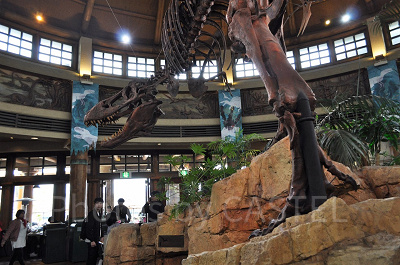 ディスカバリー・レストランの店内