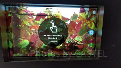 マジカルグラウンド内の「インタライブエリア」