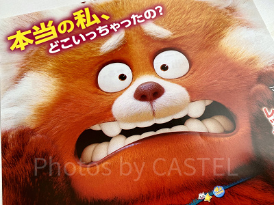 『私ときどきレッサーパンダ』の主題歌をご紹介!