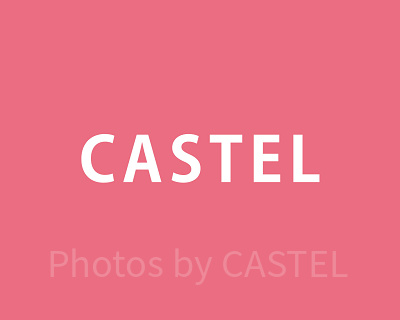 国内最大級のテーマパークメディア