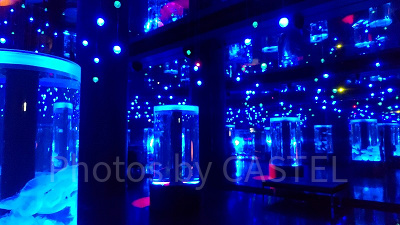 ジェリーフィッシュランブル