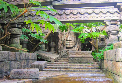 ジャングルクルーズ