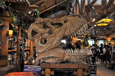 ジュラシックパークアウトフィッターズの装飾/恐竜の骨