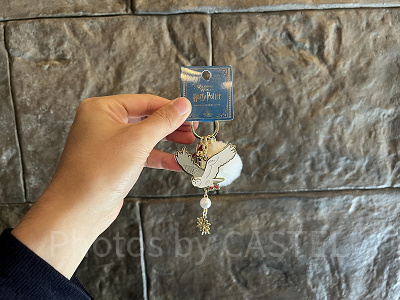 USJハリーポッター2024-2025冬グッズ:キーチェーン