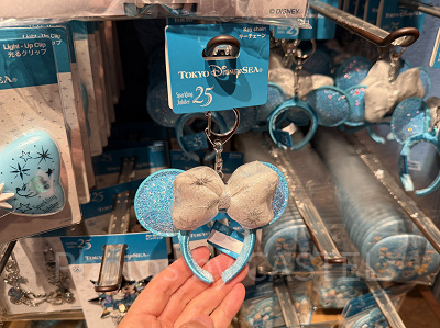 キーチェーン(ディズニーシー25周年グッズ)
