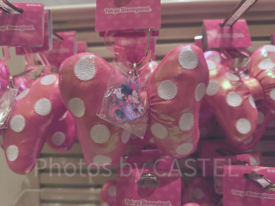 キーチェーン(ミニパルグッズ2026)