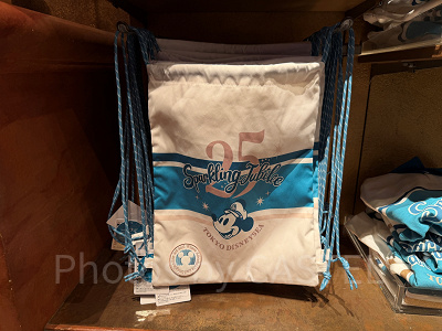 ナップサック(ディズニーシー25周年グッズ)