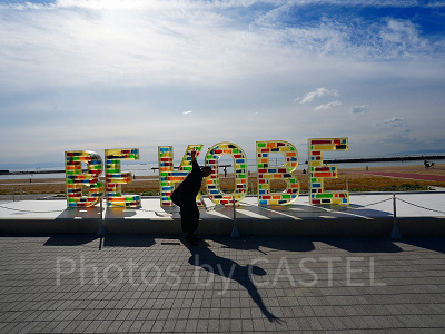 神戸須磨シーワールドの割引チケット：神戸街めぐり1dayクーポン