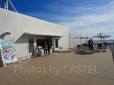 神戸須磨シーワールド：アイスカウンター