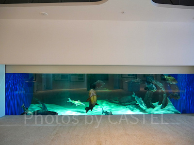 神戸須磨シーワールド：須磨コレクション