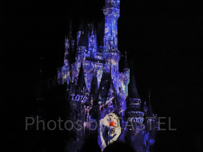 ランドにはディズニーアニメの要素が満載