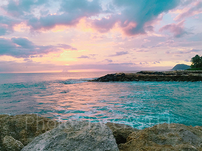 アトラクションではハワイ語が学べる