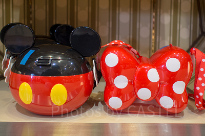 ポップコーンバケットを持ってディズニーランドを楽しもう♡