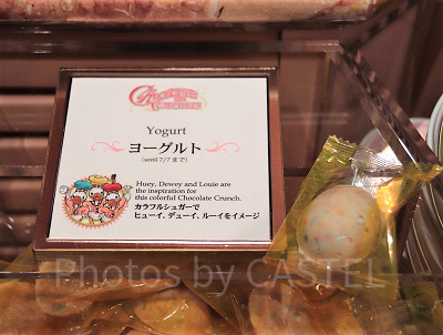 期間限定フレーバー(ヨーグルト味)