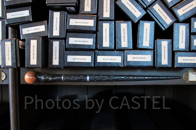 マッドアイ・ムーディーの杖