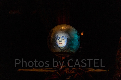 水晶玉の中のマダム・レオタ