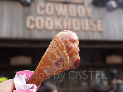 3月ディズニーランド混雑レポ：スモークターキーレッグ