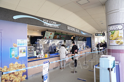 MARINE BLUE （マリンブルー）