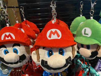 マリオのパスケース