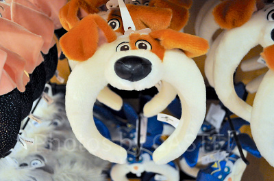 マックスのカチューシャ