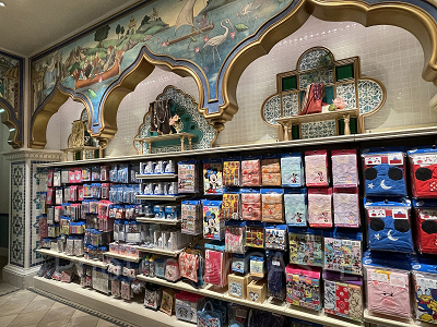 ディズニーシー】タワー・オブ・テラー・メモラビリアを解説！バック