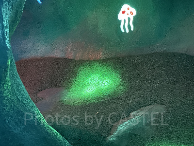 マーメイドラグーン隠れミッキー