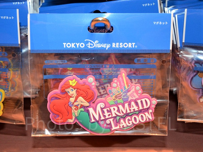 ディズニー写真立て&マグネット!キャラクター写真入りテーマポート別 ディズニー写真立て&マグネット!キャラクター写真入りテーマポート別