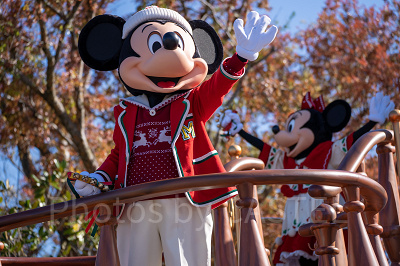 ミッキー＆フレンズのグリーティングパレード：ディズニー・クリスマス