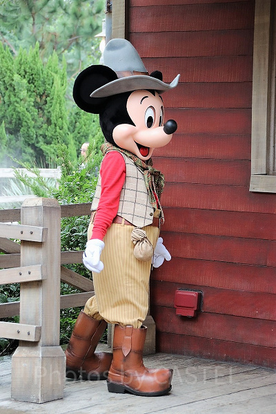 グリズリーガルチのミッキー