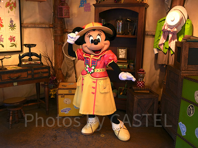 グリーティングトレイルのミニー