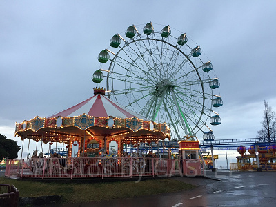 マザー牧場のイルミネーション2019