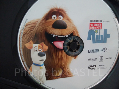 映画『ペット』