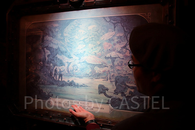 マッシュルームフォレスト