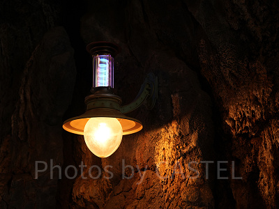 最近の愛称はジャーニー！