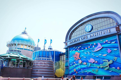 ニモ&フレンズ・シーライダー