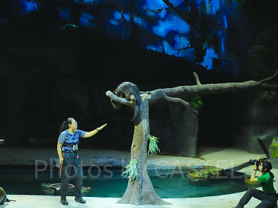 ナイトサファリ：ショー