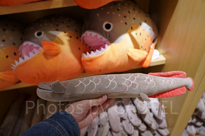 にぎっ太郎ピラルク