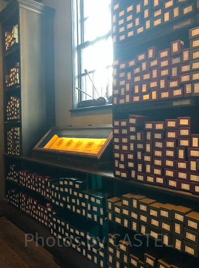 ハリーポッターコスプレの注意点