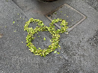 ディズニーデートは喧嘩になる？