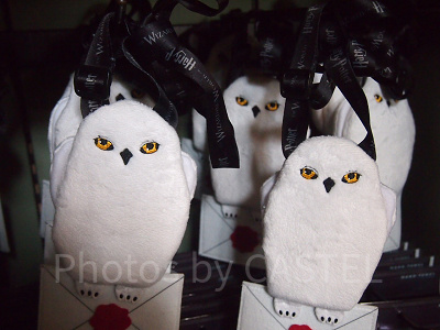 ふくろう便ヘドウィグパスケース