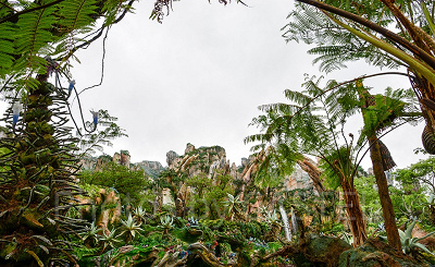Pandora - The World of Avatar エントランス　設定：16㎜ SS1/100 F10 ISO100