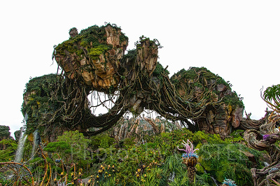 ウォルトディズニーワールドへ！WDW2017旅行記☆ファストパス情報も♪