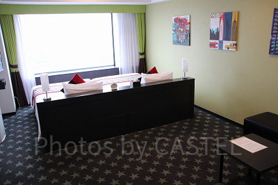 パークビュールーム（ハリウッドタイプ）