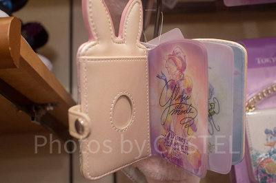 パスケース(開いたところ)