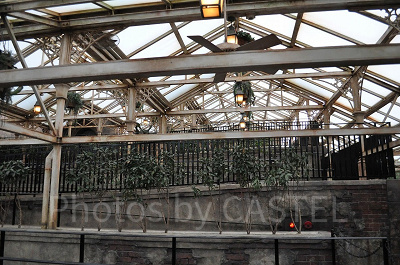 キャッスルウォーク入り口までの通路