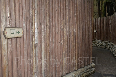 ジャングルクルーズ横の喫煙所までの通路（長め）