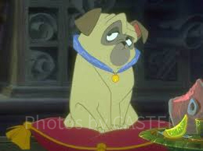 パーシー（ポカホンタス）