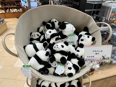 プチパンダ